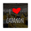 CALAMITA I LOVE CAPANON TURNO