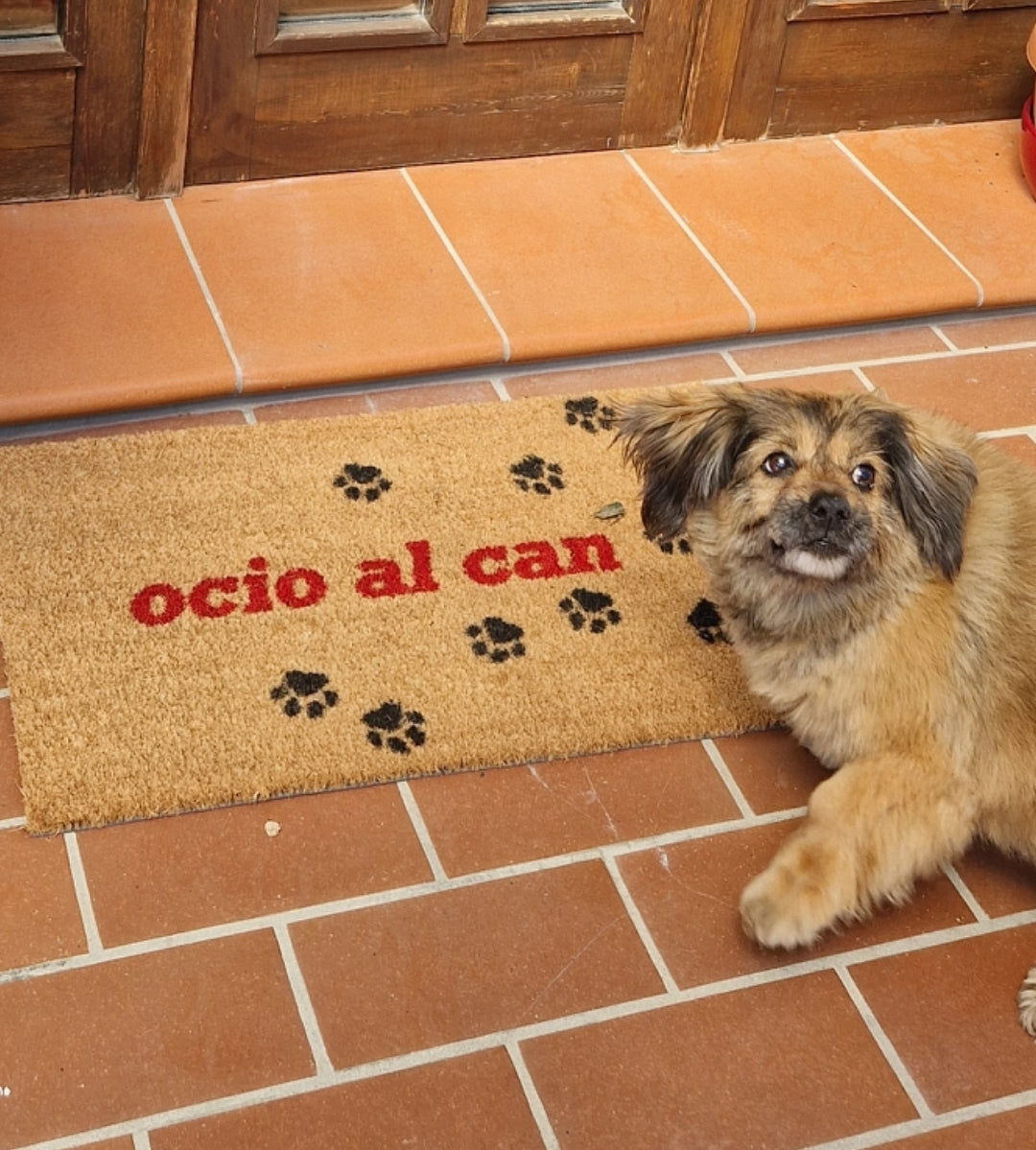 Zerbino in cocco 70x40 Ocio al Can